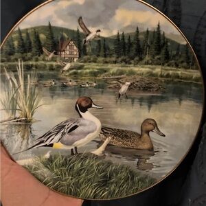 Decorative Plate with Ducks and Scenic Landscape